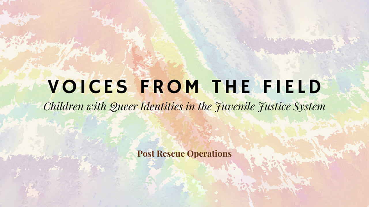 Supporting Children with Queer Identities in the Juvenile Justice System